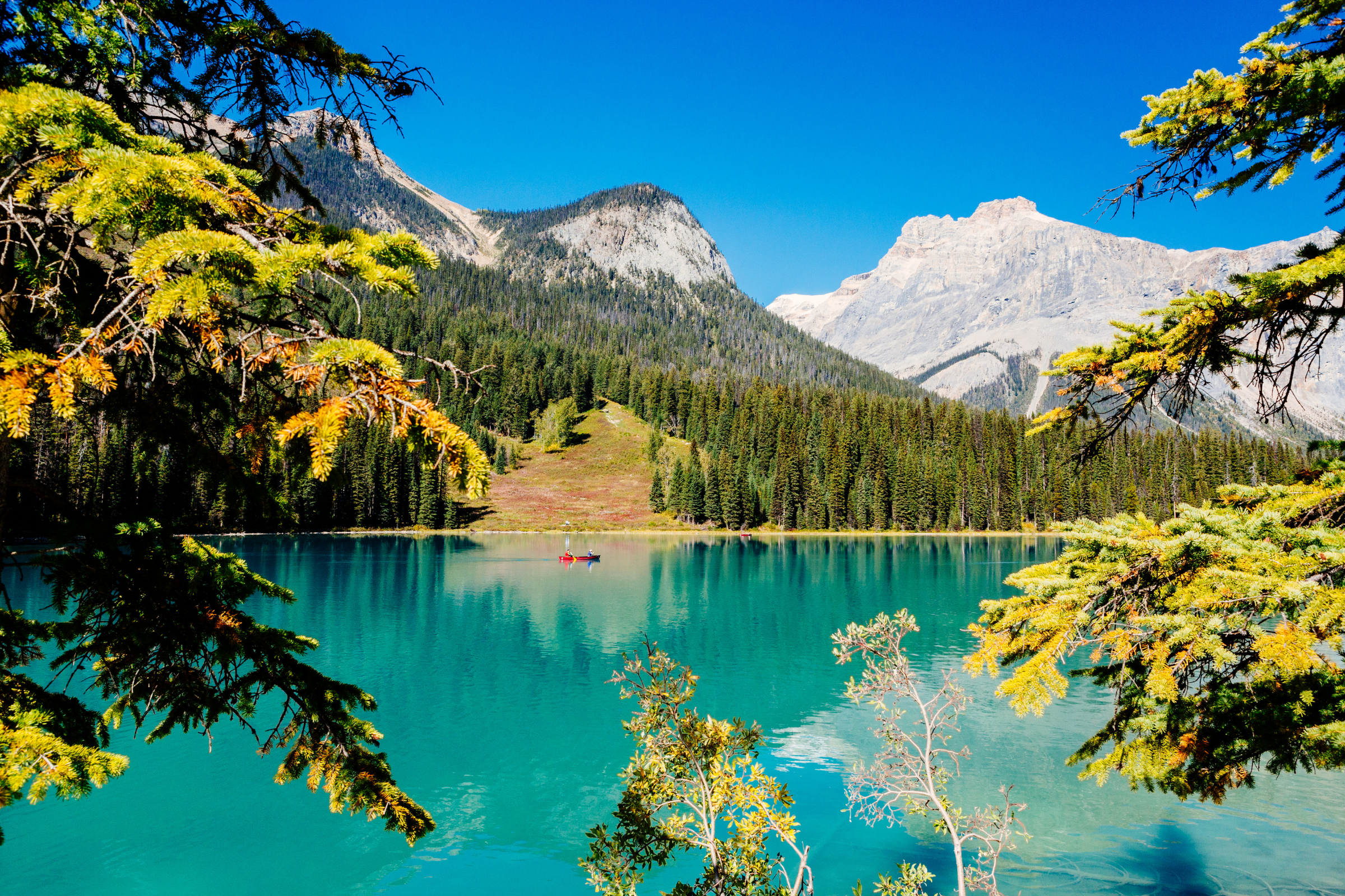 emerald lake, yoho national park, british columbia (3).webp